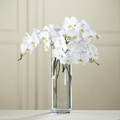 White Phalaenopsis Bouquet –  House Of Flowers, Worcester MA