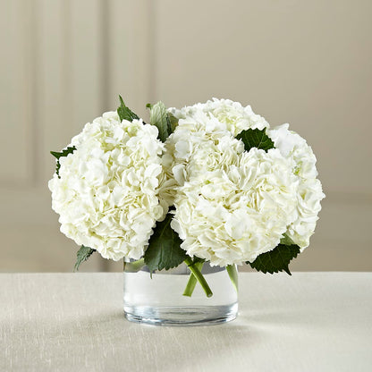 White Hydrangea Bouquet –  House Of Flowers, Worcester MA